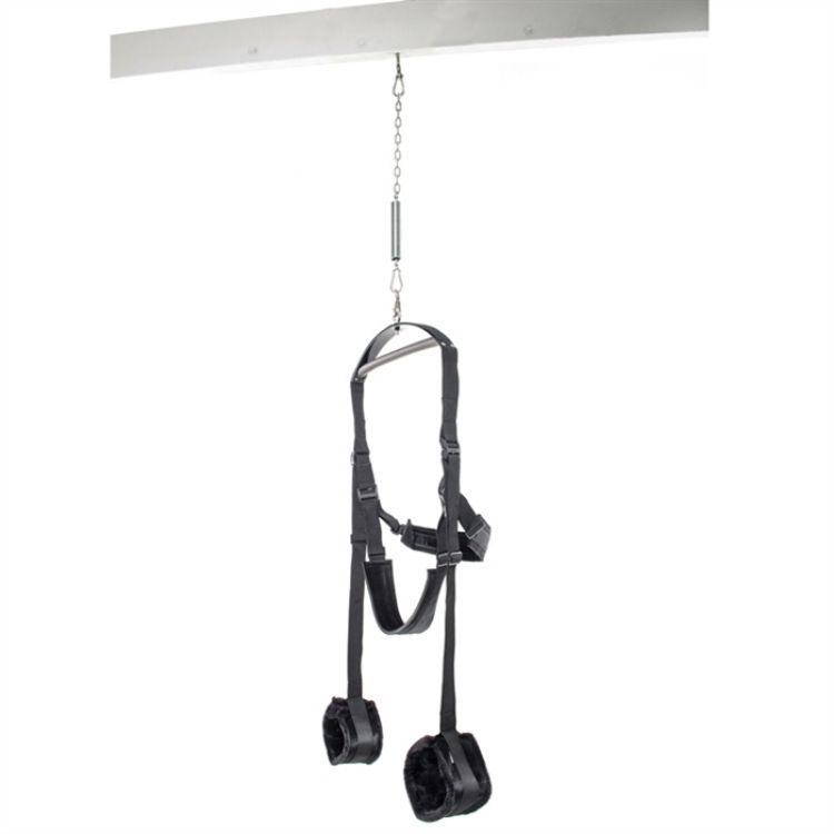 Picture of FETISH FANTASY SERIES SPINNING FANTASY SWING