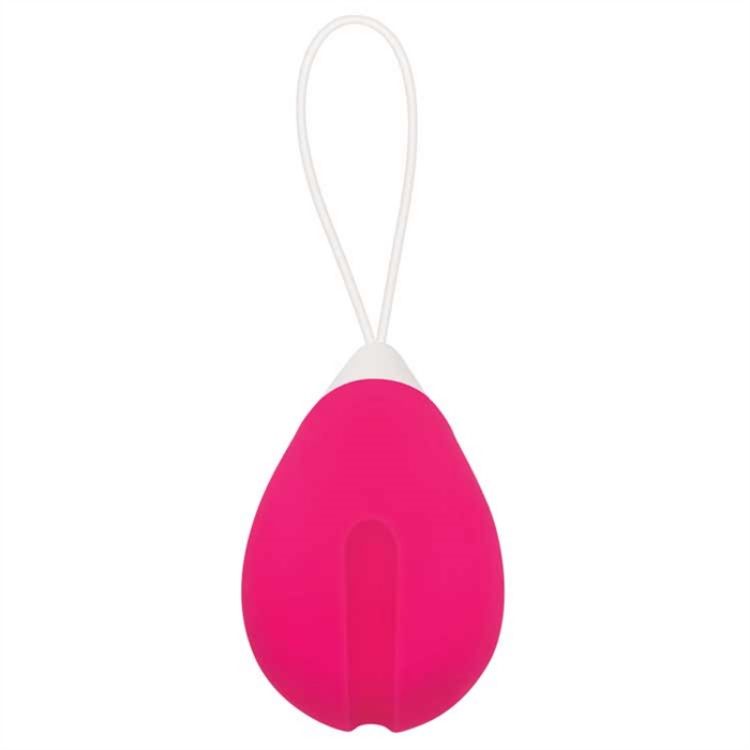 Picture of REMOTE CONTROL EGG