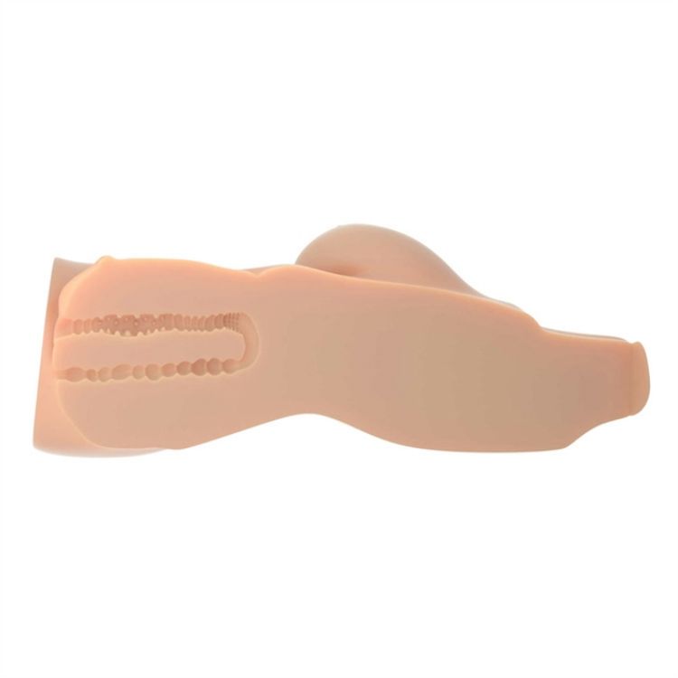 Picture of PDX Plus   Perfect 10 Torso   Light